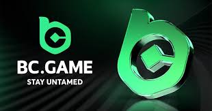 Discover the Excitement of BC.Game Online Casino Platform